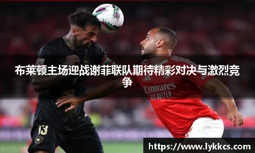 MILE米乐手机最新版本